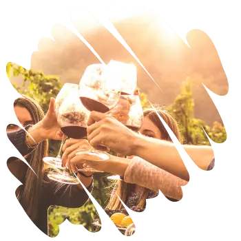 degustation de vins seminaire Gard